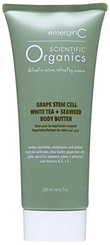 Scientific Organics Grape Stem Cell, White Tea + Seaweed Body Butter - Nourishing Plant Stem Cell Cream with Vitamins A, C, E for Dry Skin (6.7 oz, 200 ml)