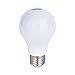 Chichinlighting Low Voltage LED A19 Light Bulbs 12 Volt 7 Watt - AC/DC - E26/E27 Edison Base – 3000k Warm White - LED Bulbs RV Camper Marine - Energy Saving - Replacement for Up To 60w Incandescent