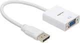 AmazonBasics DisplayPort to VGA Display Monitor Adapter