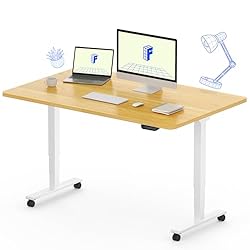 FLEXISPOT E6 Dual Motor 3 Stages Standing Desk