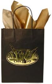 Chicago Bag, 8 x 10 Bag, Chicago Gift Bag, Chicago Skyline
