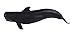 Safari Ltd. Pilot Whale Figurine - Lifelike 5.75