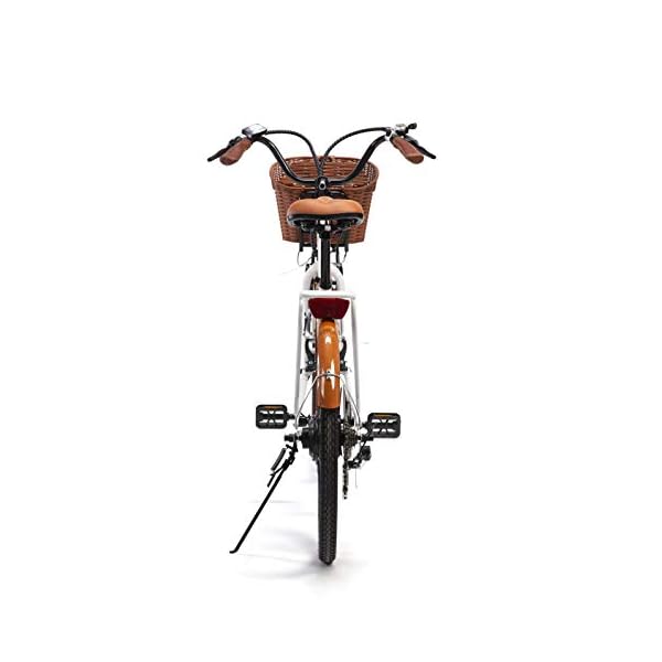 €749.00 BIWBIK Bici ELETTRICA MOD. GANTE Batteria 36V12AH - bikewebshop.it