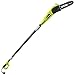 Ryobi 8 in. 6 Amp Corded Pole Saw primary