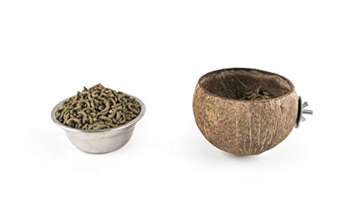 andwe Squirrels Feeder Coconut Feeding Bowl for Birds Chipmunk Wildlife - Outdoor Backyard Decor Accessories