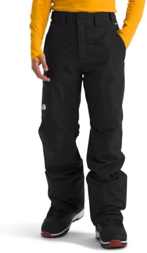 Amazon.com : Dakine Sender Stretch 3L Snow Pants (Black, Large