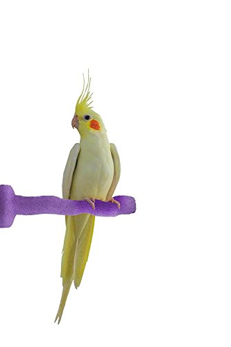Sweet Feet and Beak Thermal-Lite Natural Patented Perch, Small - Purple- Perfect for Keeping Your Bird's Feet and Beaks Healthy