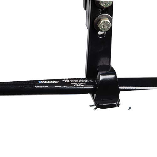 3 Pro+Reese+49903+1000+Sway