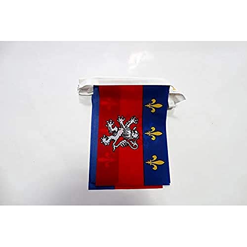 AZ FLAG French Province of Lyonnais Bunting 6 m 20 flags Light Polyester