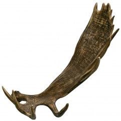 Moose Shed Antler Individual