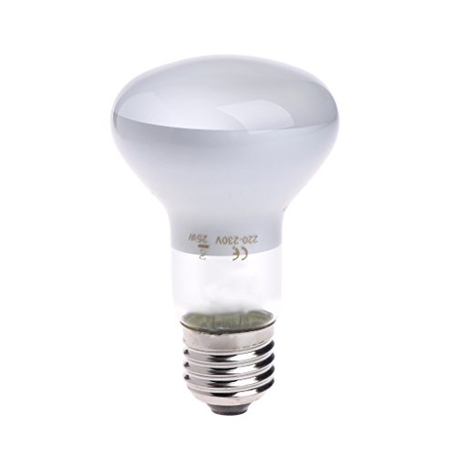 Qupida Basking Spot Lamp 25/50/75/100 WATT UVA UVB Mercury Vapor Bulb/Lamp/Light for Reptile and Amphibian Use (White, 25) - Thumbnail 4
