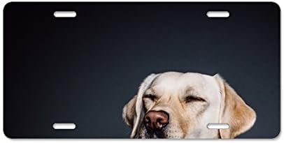 Elvira Jasper Fashion Design Cool Plate Tag Animal Collar Dog Car License Plate With 4 Holes - 12"" X 6""