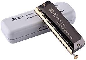 QINRUIKUANGSHAN Harmonica, Chromatic Harmonica, 12-hole 16-hole 64-tone Harmonica, Professional Performance For Senior Adults, Beautiful tone, (Color : Black-12 hole)