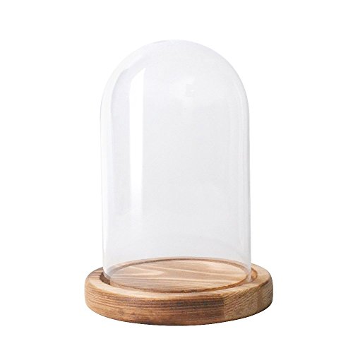 Reelva Decorative Clear Glass Cloche Bell Jar Display Case (D9H15cm)