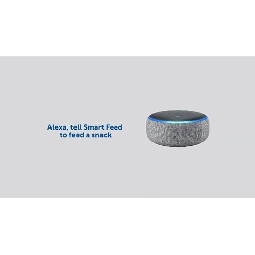 Petsafe Smart Feed Automatic Dog And Cat Tiendamia Com