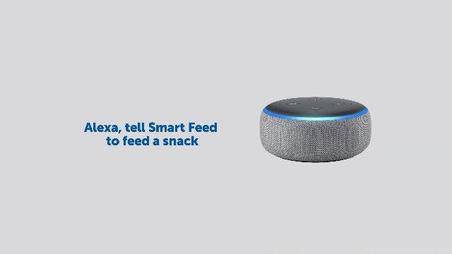 alexa enabled pet feeder