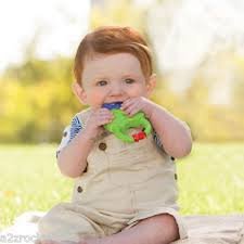 Infantino Vibrating Grape Teether