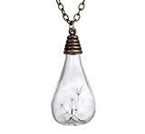 bestwishes2u Dried Dandelion Seed Glass Locket Pendant Necklace with 26