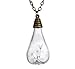 bestwishes2u Dried Dandelion Seed Glass Locket Pendant Necklace with 26