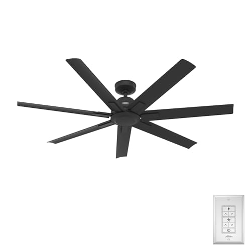 Hunter Downtown Ceiling Fan