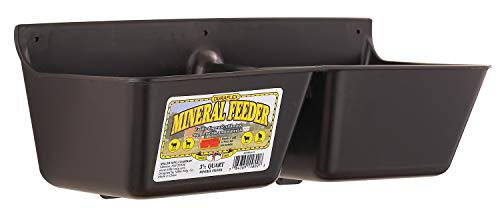 Little Giant Mineral Feeder