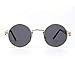 AWEHIRU Tool Station Round Metal Sunglasses, Steam Punk 80s Retro Sunglasses, Gold Frame Sunglasses with Case for Men and Women