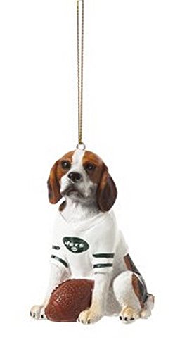 New York Jets Beagle Team Dog