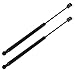 Maxpow Qty (2) Rear Window Glass Gas Charged Lift Support Struts Compatible With Kia Sorento 2003 2004 2005 2006 2007 2008 2009 6603
