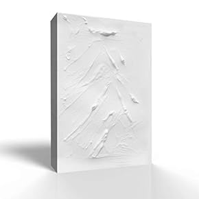 Canvas Wall Art Minimalism Style Pictures Home Wall Decorations for Bedroom Living Room Paintings Canvas Prints Framed - 12x18 inches