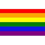 BANDERA De MESA ARCOIRIS OSO 21x14cm - BANDERINA De DESPACHO