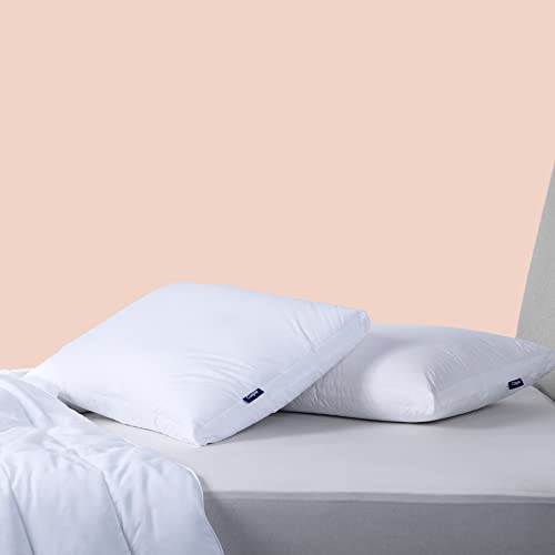Casper Sleep Down Pillow for Sleeping, Standard, White, Two Pack