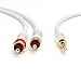 BlueRigger 3.5mm to RCA Audio Cable (25FT, RCA Male to Aux Audio, Braided, Headphone Jack Adapter, Metal Shell) - for Phones, Amplifiers, Tablets, Home Theater, Speakers, HDTV