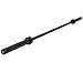 Body-Solid OB86B Olympic Bar for Weightlifting and Weight Training, 7-Foot Straight Barbell, Black primary