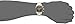 Seiko Men's SSC392 Titanium Solar Chrono Analog Display Japanese Quartz Two Tone Watch