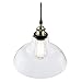 Light Society Classon Edison Pendant Light, Clear Glass Shade with Antique Brass Finish, Vintage Modern Industrial Lighting Fixture (LS-C171)