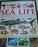 Paperback Sea Life (The Complete Illustrated Guide to) Book