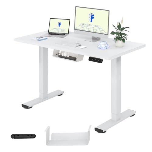FLEXISPOT Höhenverstellbarer Schreibtisch Basic 100x60cm