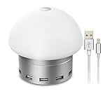 Sgin LED Desk Lamp, Nylon Braided Lightning Cable for iPhone Touch-Sensitive Control, 6 USB Smart Charging Port(30W/6A) for Smart Phone（Silver）