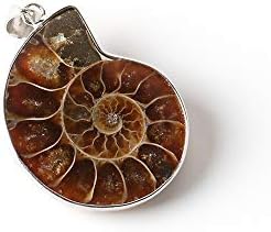 CAIYCAI Nice Natural Stone Ammonite Fossils Seashell Snail Pendants Ocean Reliquiae Conch Animal Necklaces