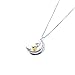 DAOCHONG Sterling Silver Always My Sister Forever My Friend Moon Double Love Heart Pendant Necklace, 18