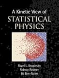 A Kinetic View of Statistical Physics