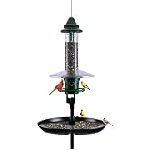 Complete Bird Feeding Station with Squirrel Buster Plus Squirrel-Proof Bird Feeder, Pole, Weather Guard &amp; Seed Catcher Tray, Installed Height 7ft 2in