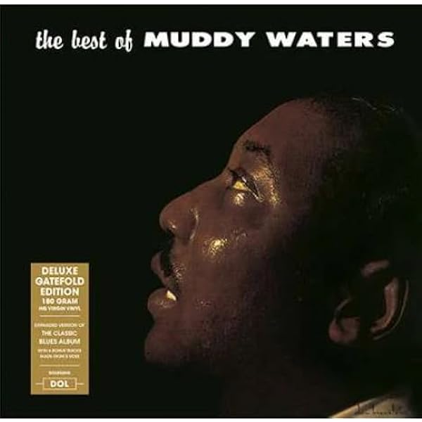 Amazon.com: Best Of Muddy Waters: CDs & Vinyl
