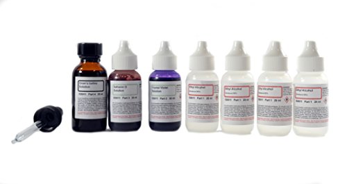 Innovating Science Gram's Stain Kit