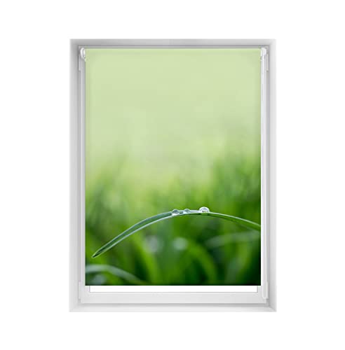 Blindecor Easy Jalousie ohne Bohren, Bedruckt, lichtdurchlaessig, Digitaldruck, Quietud, 110 x 150 cm (Breite x Hoehe), Stoffmass 107 x 145 cm