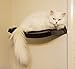 Art of Paws Cat Shelf | Cat Perch Cat Bed with Curved Cat Hammock Design | Elegant Wood Wall-Mounted Cat Furniture | A Gift Your cat Will Lovethumb 2