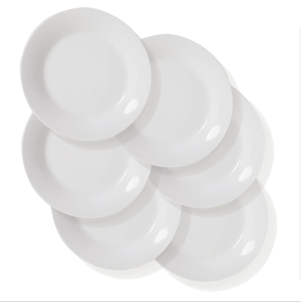 SOUSWEE Dinner Plates Sets of 6 for Salad and Desserts, White Round Flat Plates for Party Home Kitchen and Restaurant (7.5inch)