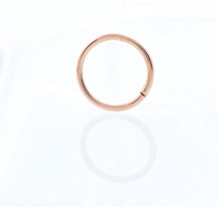 Minshao Seamless Hinged Segment Sleeper Clicker Lip Nose Septum Piercing Hoop Ear Ring (E)