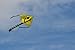 Large Easy Flyer Big Smiley face kite 4 x 7 ft by Weifang New Sky Kites