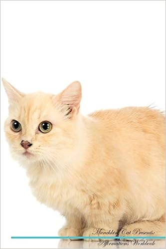Munchkin Cat Affirmations Workbook Munchkin Cat Presents Positive